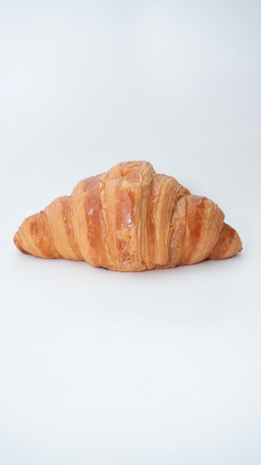 Croissant cheese
